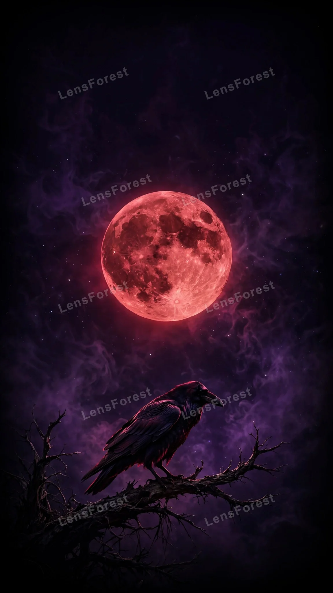 Black raven silhouette perched on a gnarled dead branch beneath a giant glowing blood-red full moon in a deep violet-black night sky with purple mist and stars — free HD dark aesthetic phone wallpaper