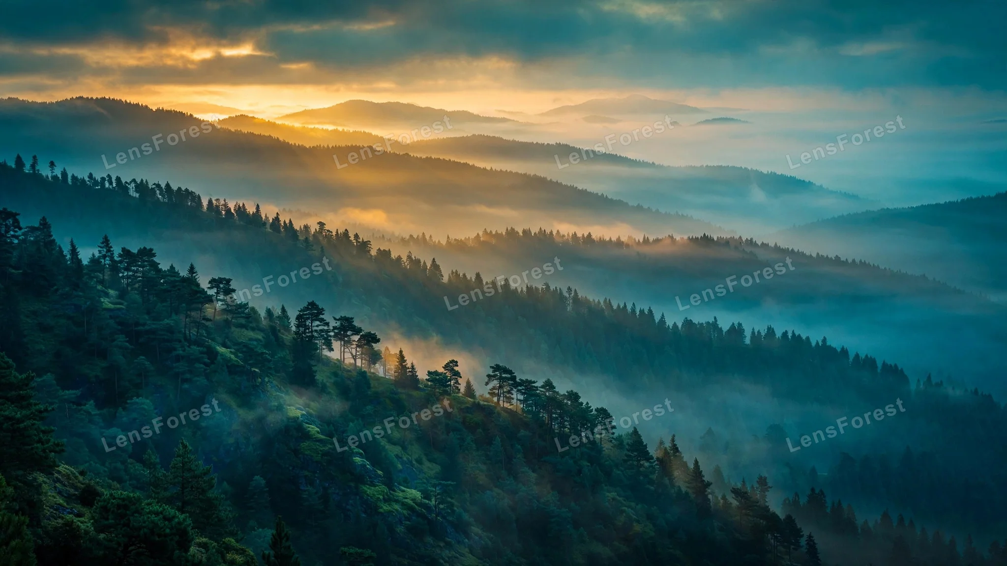 Layers of misty forest ridges fading into dawn light, a wide serene desktop wallpaper scene in deep green tones